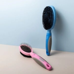 Plastic Double Sided Brush Dog Hair Remover Pin best flea removal for pet