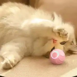 Fluffy cat on its back, playing with a pink ball on beige surface.
