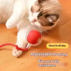 Automatic Rolling Ball Smart Cat Dog Self-moving Game Ball