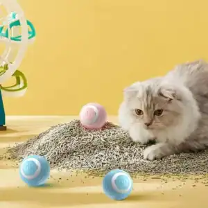 Fluffy cat rests by litter and colorful balls on yellow surface, with a fan in the background.