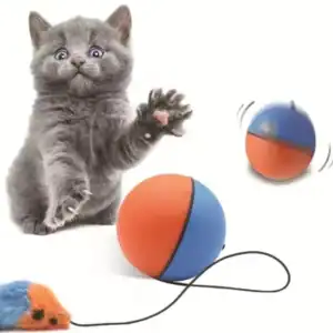 Kitten plays with a ball and toy mouse.