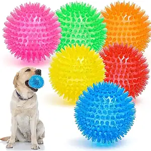 A dog with a blue spiky ball in its mouth sits by five colorful spiky balls: pink, green, orange, yellow, and red.
