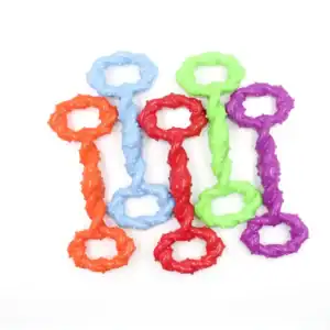 Five textured toy bones in blue, green, purple, red, and orange are arranged in a fan shape.