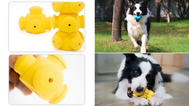 Several freezable leaking toys are put together, and the dog is holding a blue and yellow freezable leaking toy in its mouth