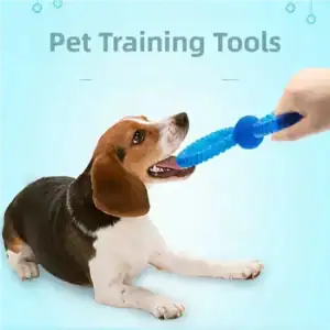 Beagle playing tug-of-war with a blue rubber toy held by a person on a light blue background labeled "Pet Training Tools.
