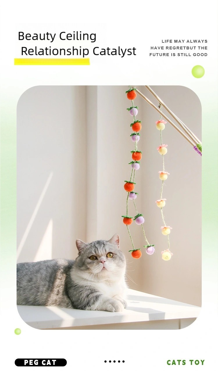  Fruit Cat Teaser Wand