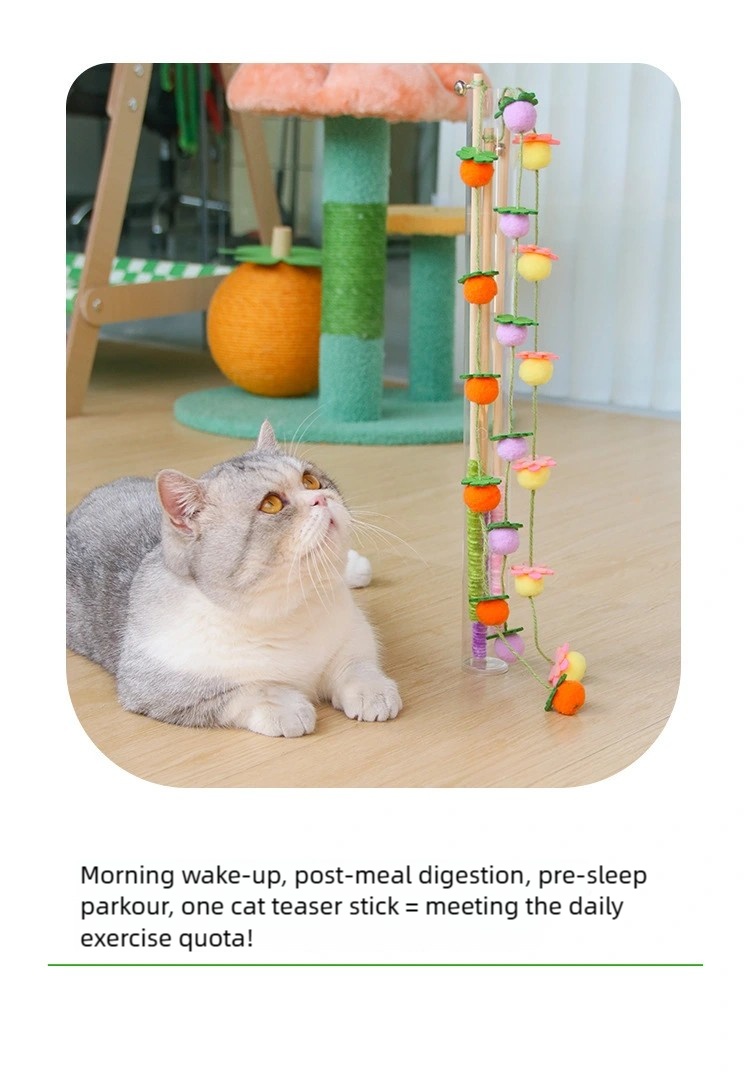  Fruit Cat Teaser Wand