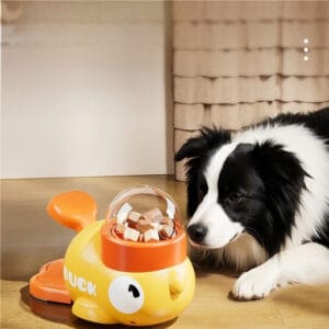 A black and white dog lies by a Yellow Duck Puzzle Feeder filled with cube-shaped treats.