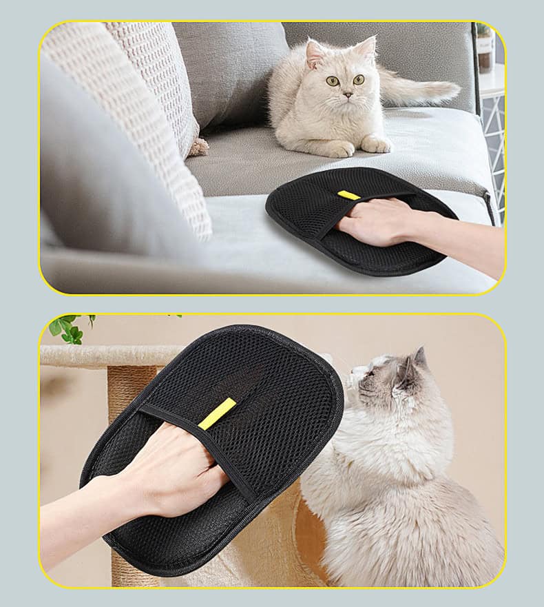 Eine Person bürstet eine weiße Katze mit einem Pflegehandschuh auf einem Sofa; anschließend sitzt die Katze an einem Kratzbaum.