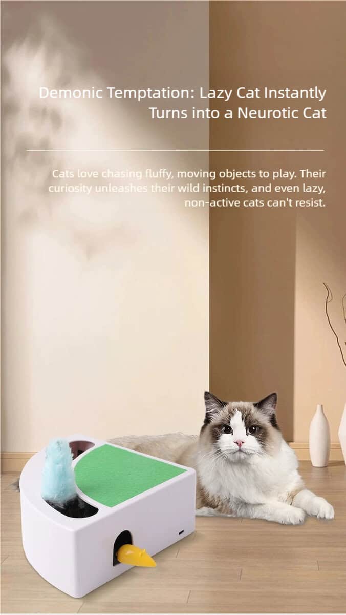 Un soffice gatto è seduto accanto a un giocattolo elettronico con una piuma e un topo su un pavimento di legno in una stanza minimalista.