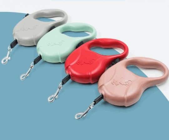 Four retractable dog leashes in gray, mint green, red, and pink lined up on a blue and white background.