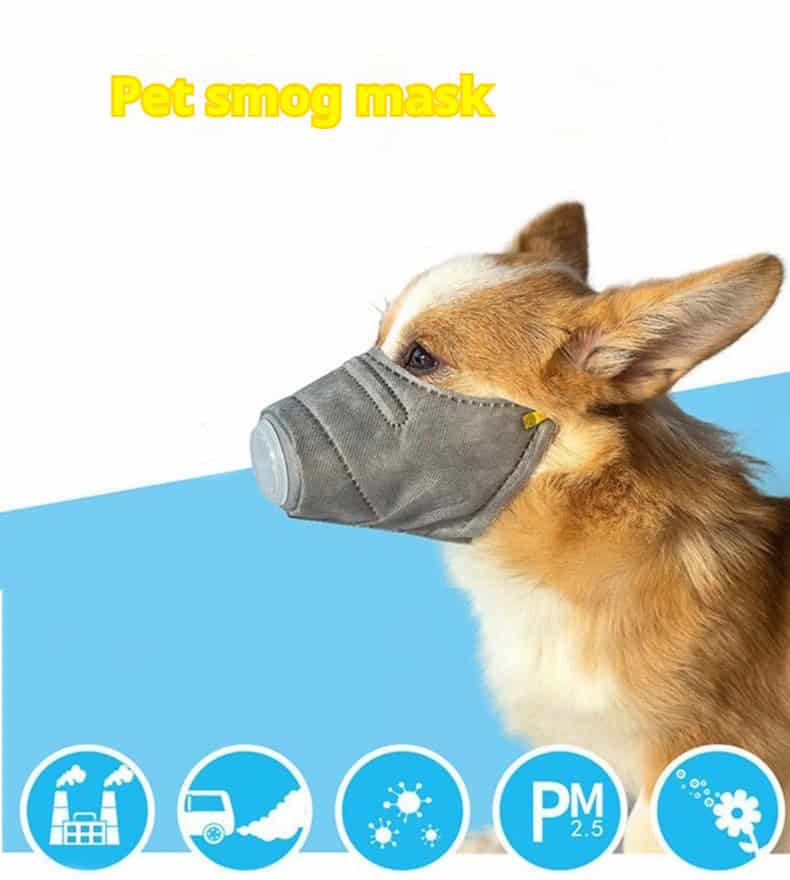 Dog in a reusable gas muzzle with adjustable strap on blue background; icons show pollution and PM2.5, text: "Pet Smog Mask.