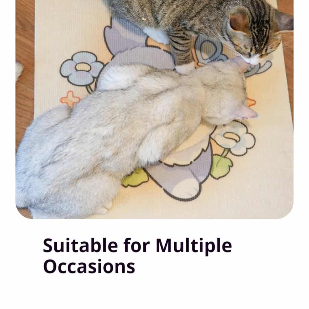 Two cats on a cartoon cat scratching pad toy, with the words "Suitable for Multiple Occasions" visible.