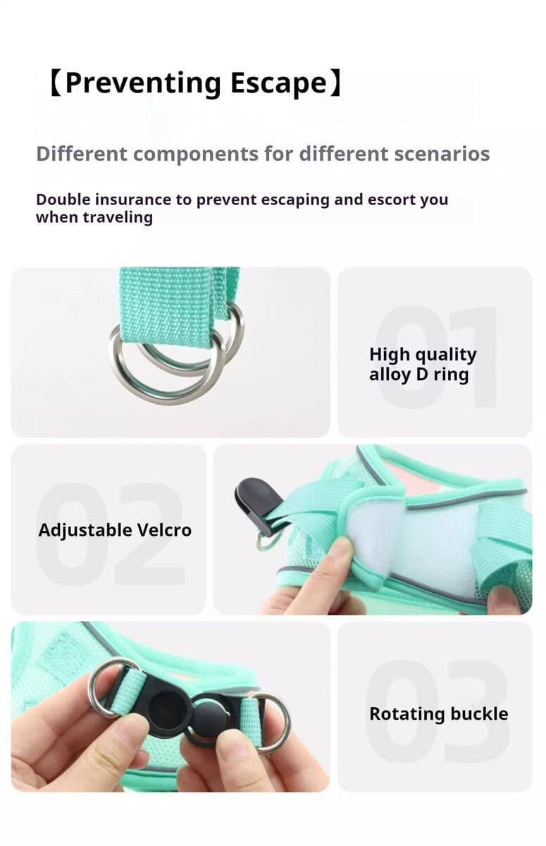 Turquoise pet harness set with alloy D ring, adjustable Velcro straps, and rotating buckle to prevent escapes.