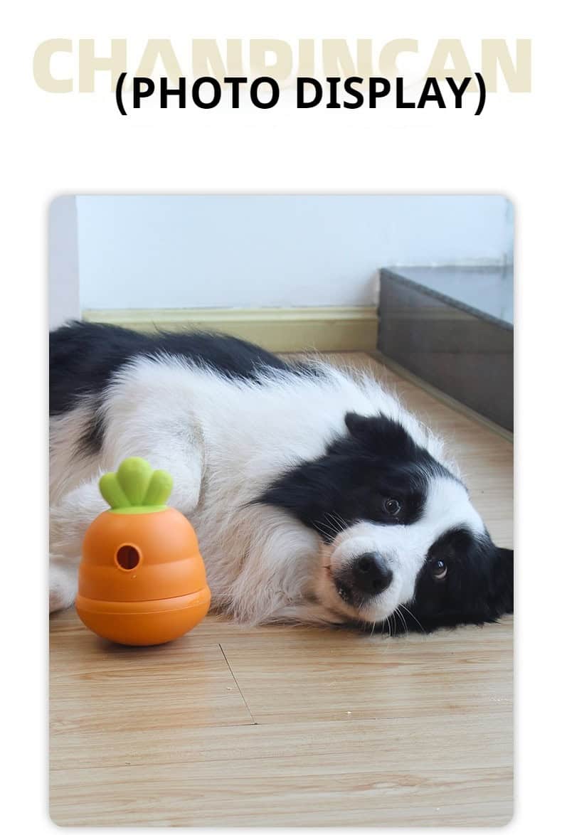 A black and white dog lies on a wooden floor next to a Carrot-shaped treat dispensing dog toy.
