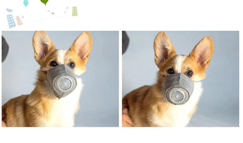 Two images of a brown and white dog in a Breathable Dog Gas Mask muzzle; facing left in one, forward in the other.