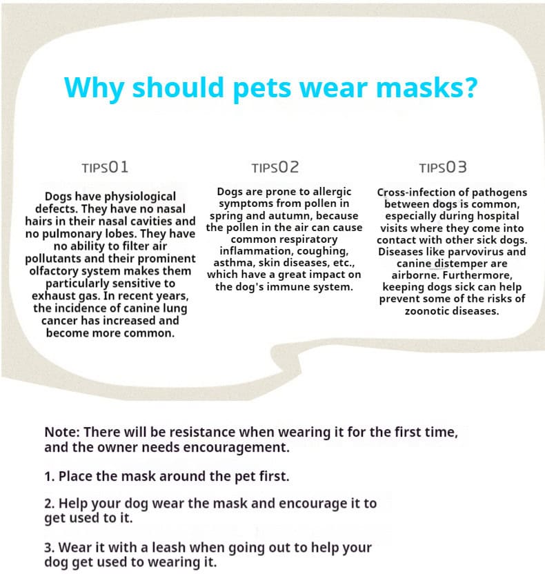 Infographic highlights pet mask benefits—fewer allergens, less infection risk—and tips for using an adjustable dog muzzle mask.