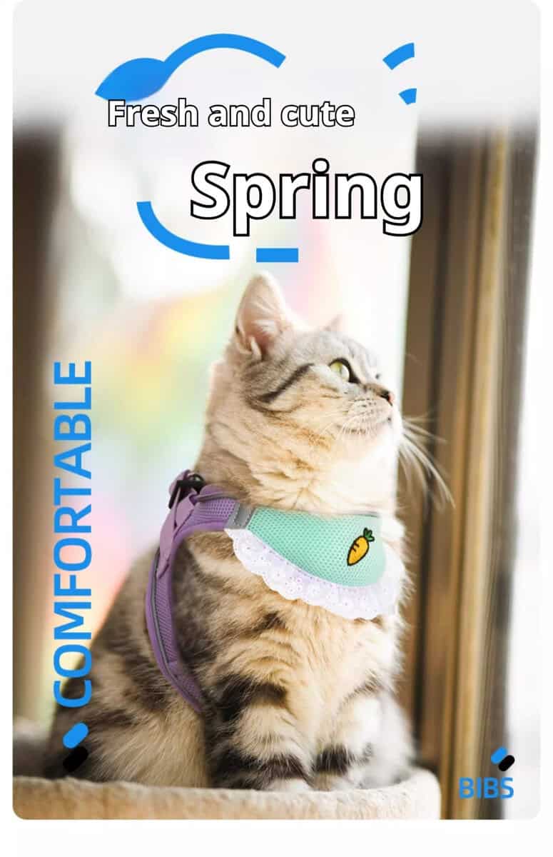Tabby cat on windowsill wears green harness with carrot patch. Text: "Fresh and cute Spring" and "COMFORTABLE.