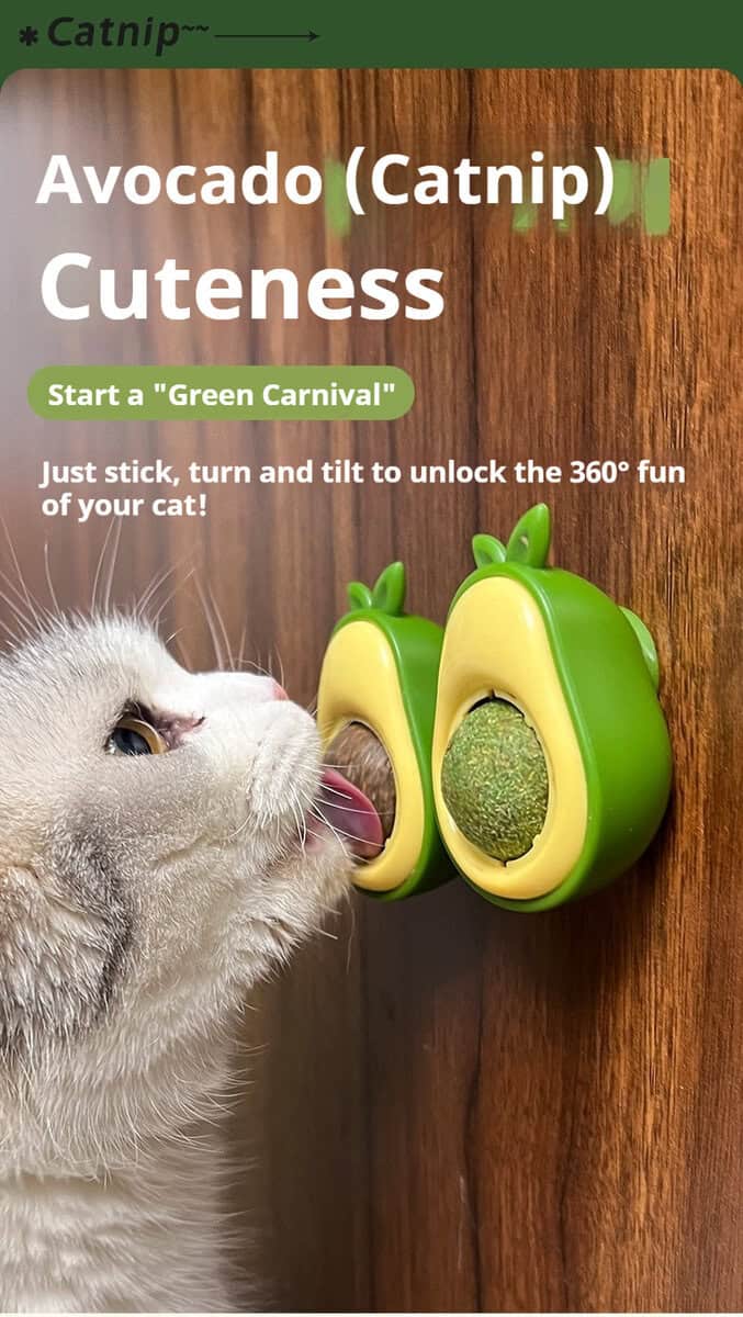 A gray and white cat licks a minty avocado-shaped catnip toy attached to a wooden surface.