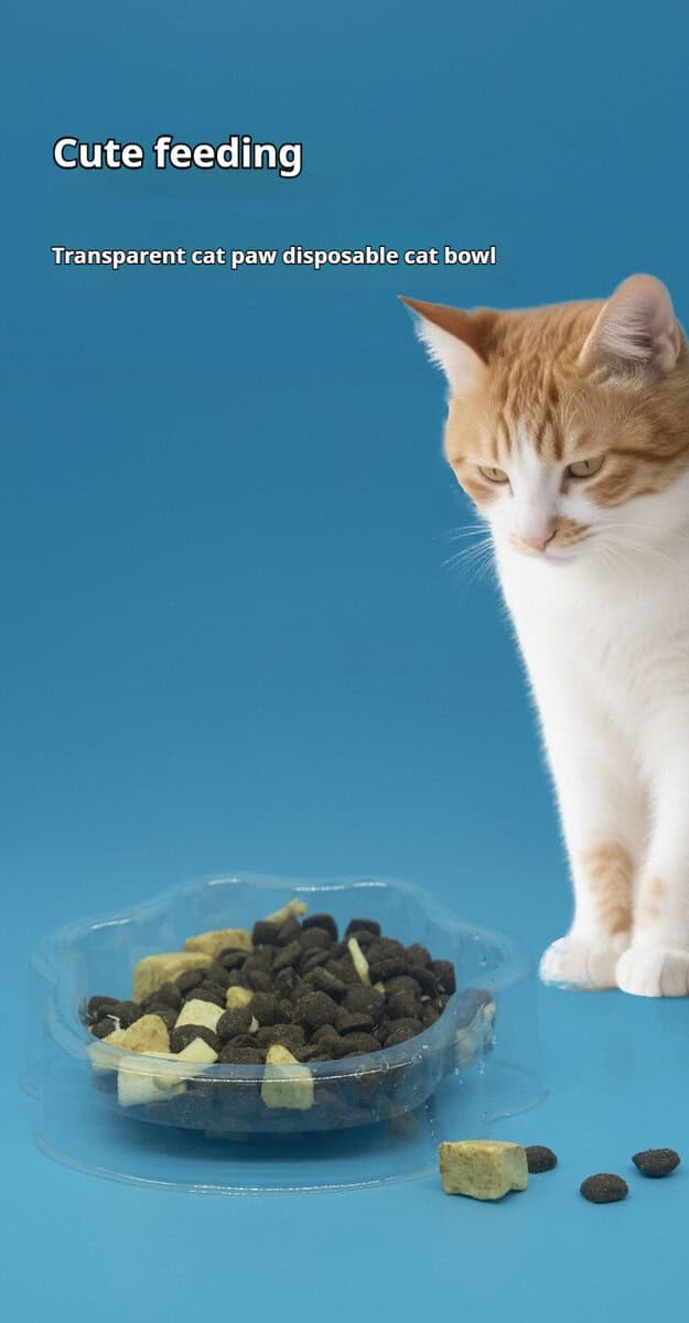 Orange and white cat looks at a paw-shaped double food bowl filled with dry food on a blue background.