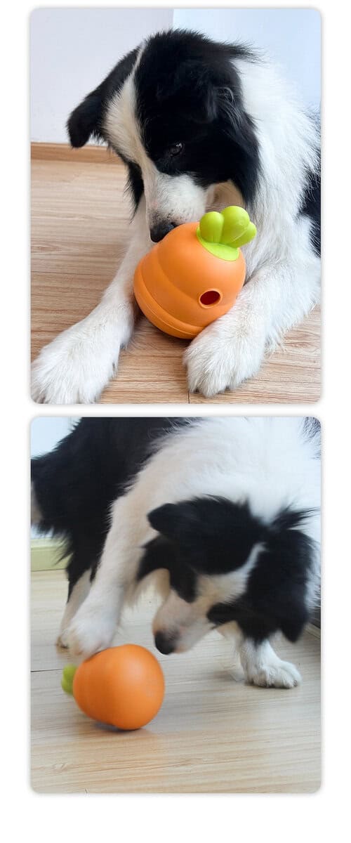 Black and white dog plays with a carrot-shaped treat toy on a wooden floor in two separate images.