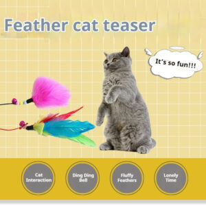 Gray cat stands on hind legs by feather teaser toy; text notes interaction, bell, fluffy feathers, and solo play.
