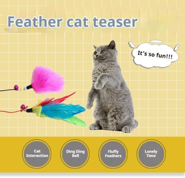 Gray cat stands on hind legs by feather teaser toy; text notes interaction, bell, fluffy feathers, and solo play.