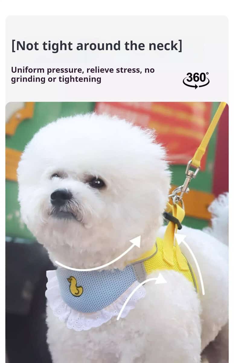 White fluffy dog in yellow-grey harness with duck patch, 360° leash ring, loose fit around neck.