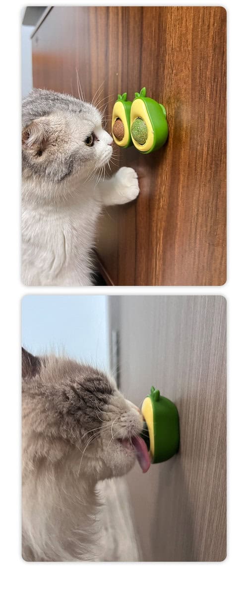 A cat sniffs and licks a green avocado-shaped catnip toy ball attached to a wooden surface.