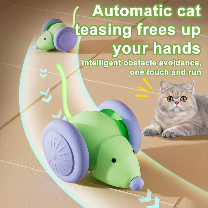 A cat watches a green and purple smart mouse toy car drive itself, highlighting hands-free play and obstacle avoidance.
