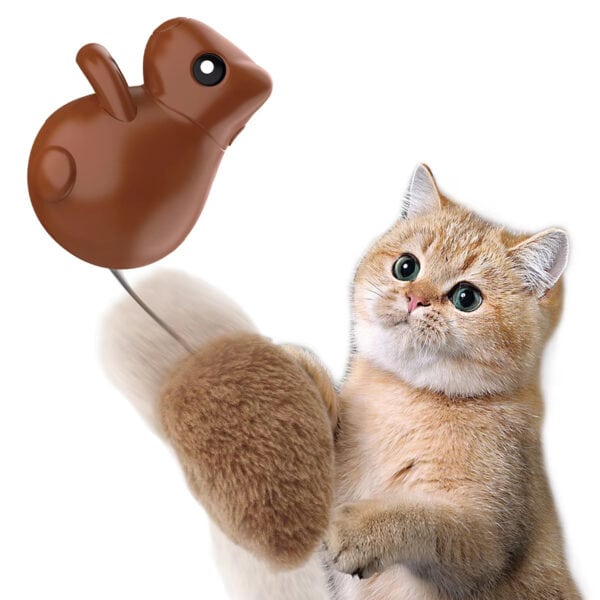 Light brown cat plays with a squirrel-shaped electronic toy with a spring mouse and furry base on a white background.