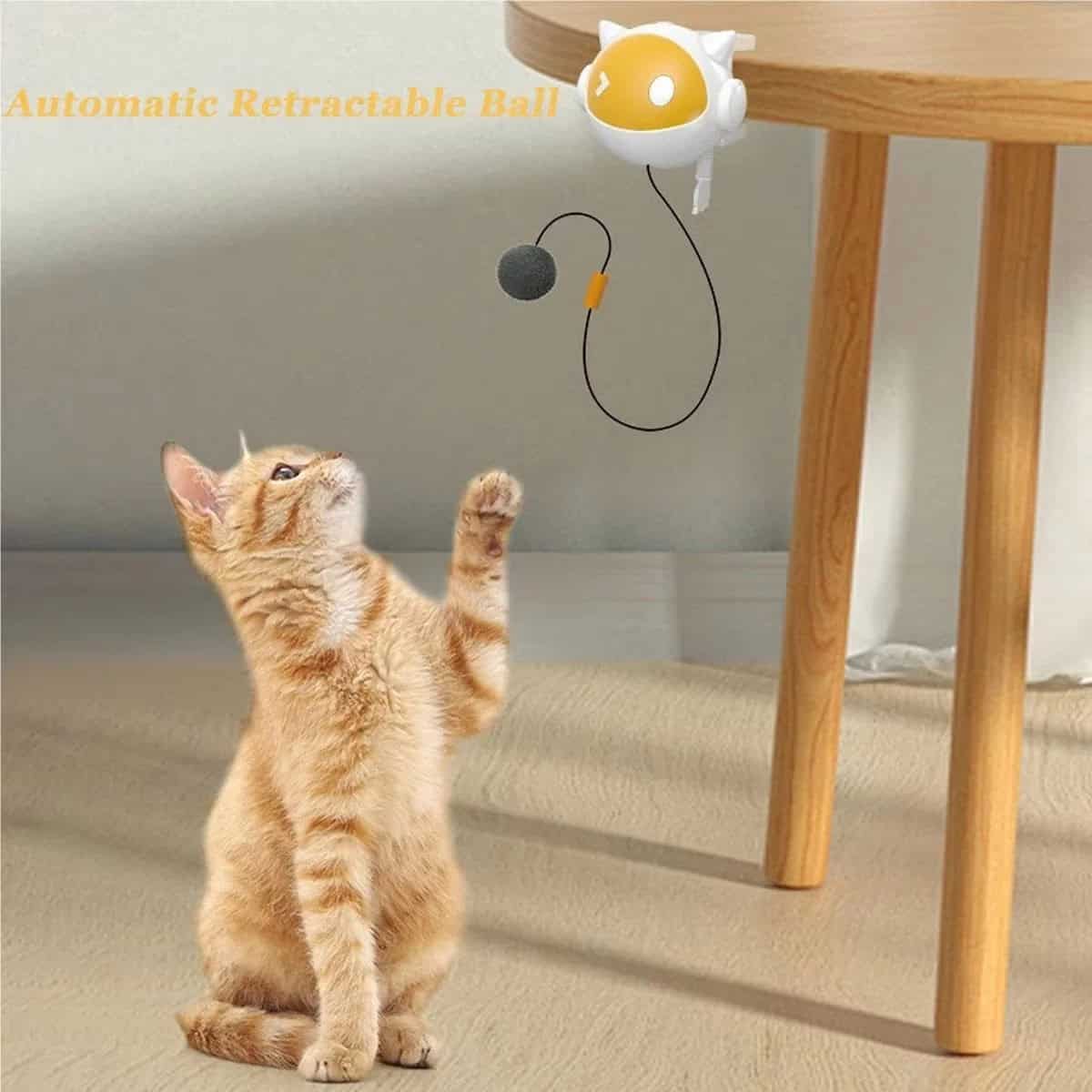 An orange tabby cat plays with an interactive teaser ball toy that clips to and hangs from a table edge.