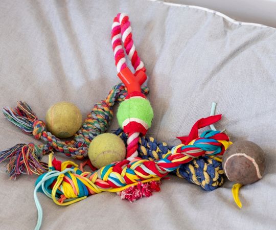 Colorful dog toys including rope toys, balls, and knotted ropes on a beige couch, perfect for pet play and entertainment.