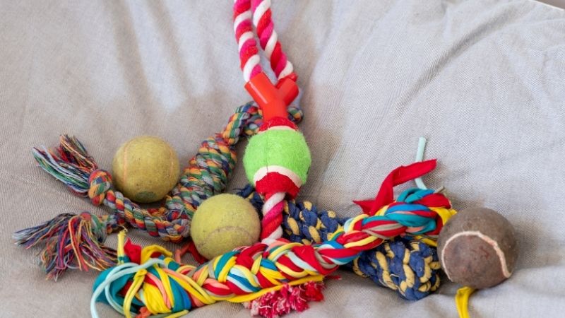 Frisbee dog toys, colorful rope toys, squeaky plush toy, pet chew toys, durable dog play accessories for active dogs.