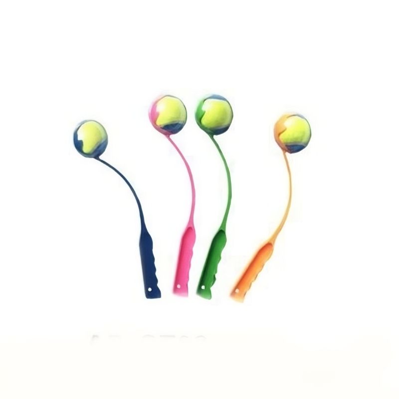 Brightly colored dental floss picks in blue, pink, green, and orange with ergonomic handles.