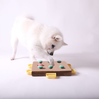 Adorable puppy playing with colorful macarons on a white background, emphasizing a playful and charming scene for pet and animal lovers.