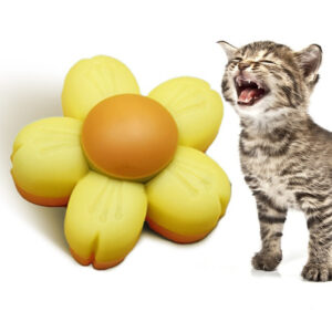 Catnip Wall Ball Flower Catnip Toys Cat Licking Mint Ball