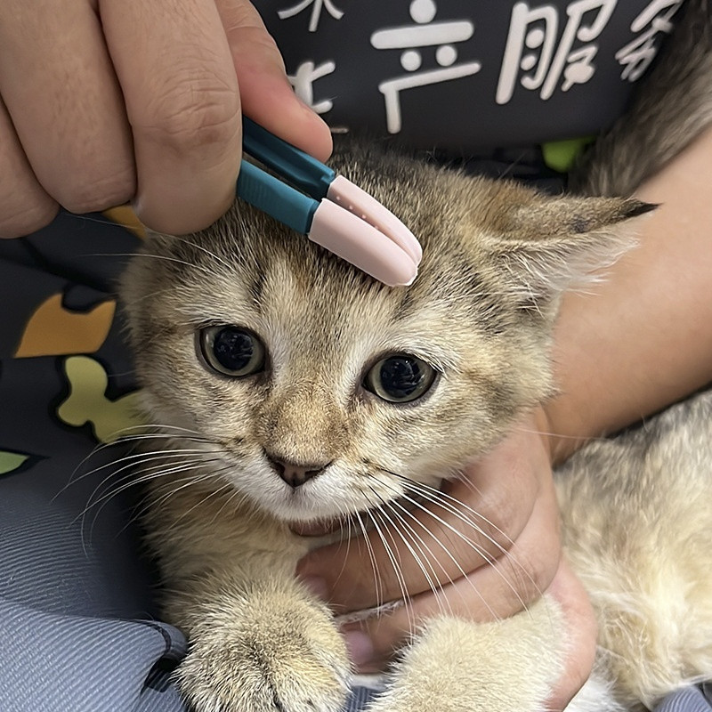 Pet Eye Comb Pet Cat Tear Stain Remover Comb Eye Brush - Image 3