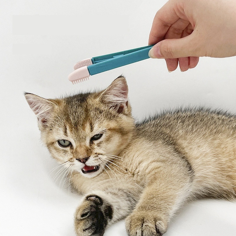 Pet Eye Comb Pet Cat Tear Stain Remover Comb Eye Brush - Image 4