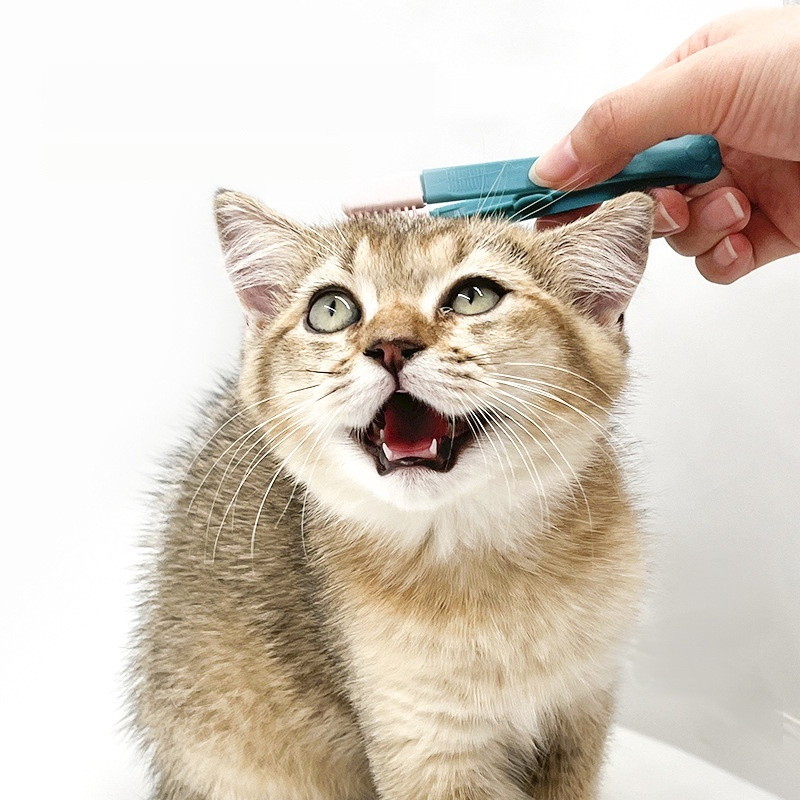 Pet Eye Comb Pet Cat Tear Stain Remover Comb Eye Brush - Image 5