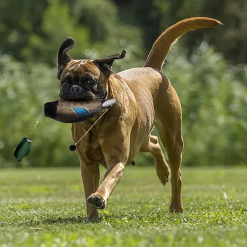 Bird Dog Training Toys Pet Training Dummy Duck - Image 4