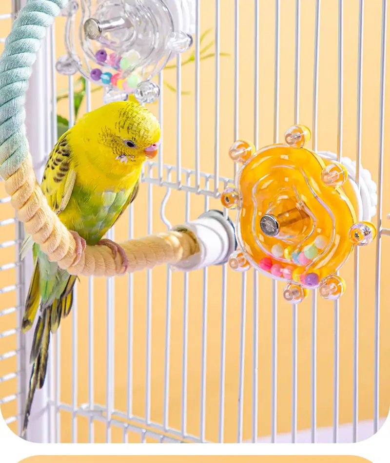 Bright yellow and green parrot inside a cage with a colorful turnaround frisbee toy for birds.