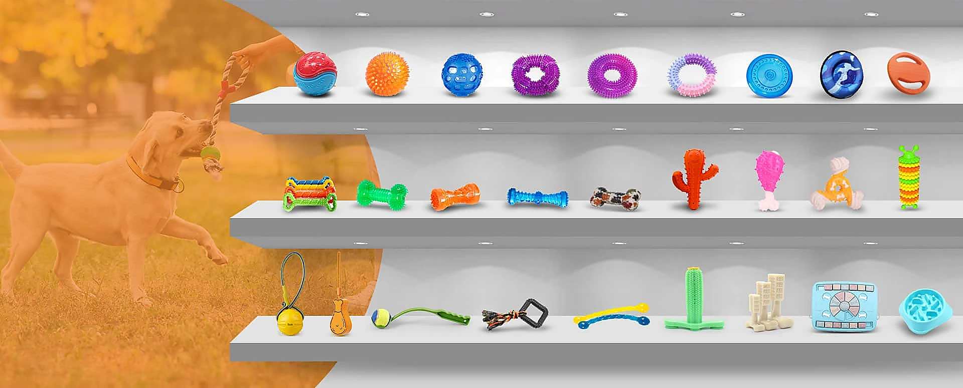 A variety of vibrant dog toys including balls, chew toys, and squeakers arranged on white shelves, with a playful dog in the background.