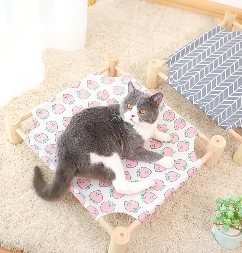 Adorable gray and white cat lying on a strawberry-patterned fabric bed with wooden frame, surrounded by cozy cushions and a small potted plant.