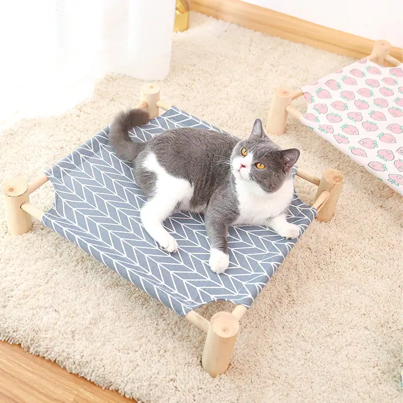 Adorable gray and white cat relaxing on a small wooden bed with a blue geometric patterned mattress in a cozy room.