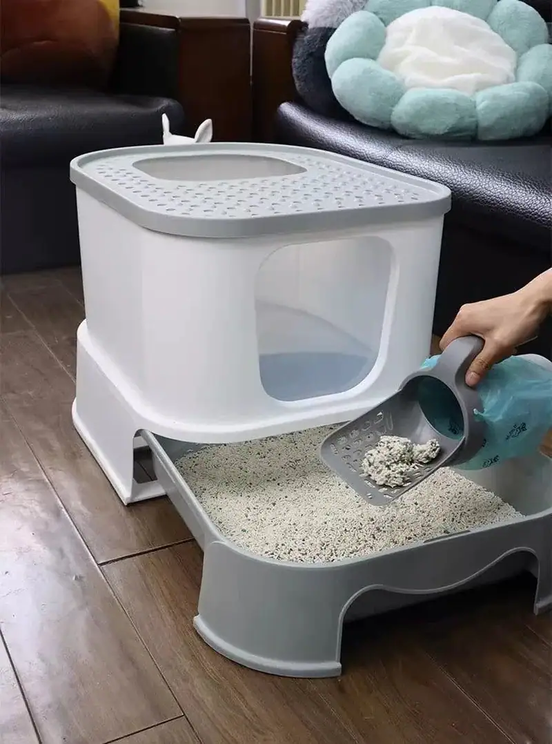 Contemporary cat litter box with enclosed top and spacious tray, ideal for pet comfort and hygiene, placed in a cozy living room setting.