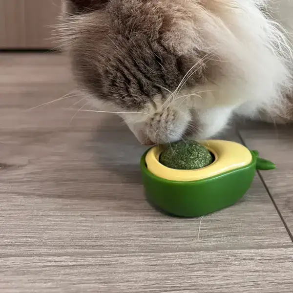 Close-up of a fluffy cat eating from a green and yellow food dispenser on a wooden floor, showcasing pet feeding accessories.