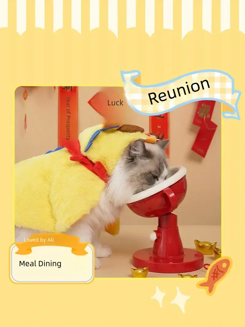 Adorable cat dressed in a yellow costume with a blue hat drinking water from a red bowl, celebrating reunion with a festive background.