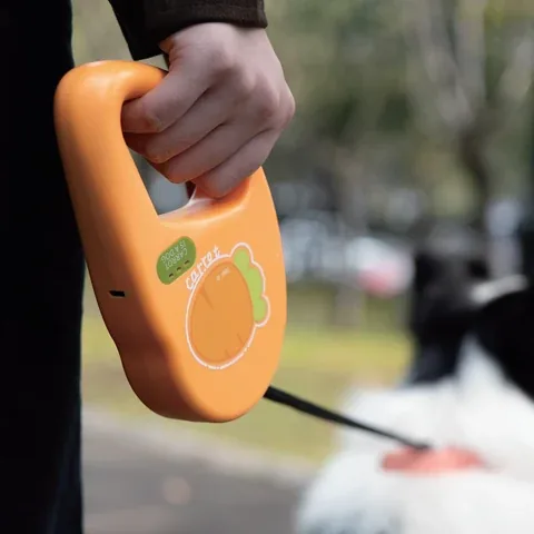 Carrot-themed retractable dog leash
