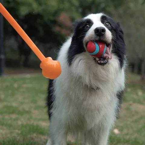 Dog ball launcher toy